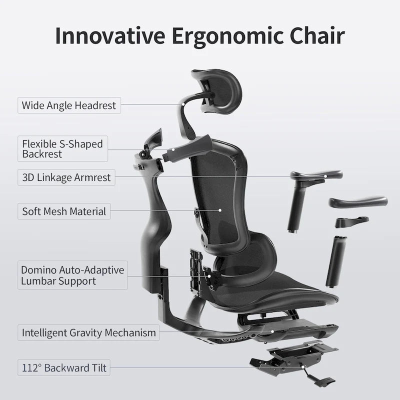 Ergonomic Office Chair with Auto-Adaptive Lumbar Support, 3D Adjustable Armrests, Adjustable Headrest, Mesh Back, Black